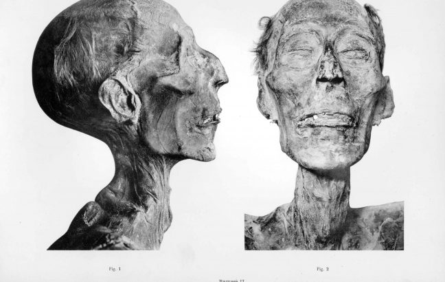 The mummy of Ramesses the Great