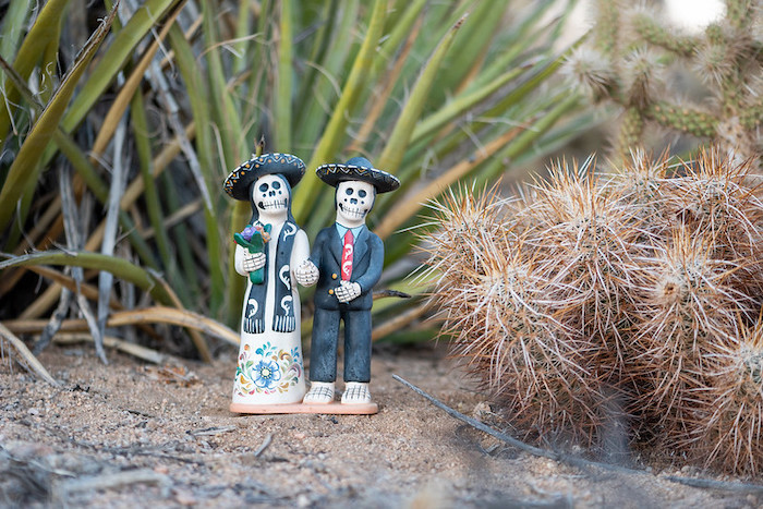 a figurine of Dia de los Muertos skeleton couple with cacti in the background.