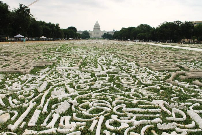 Bones scattered on a field in Washington, D.C.